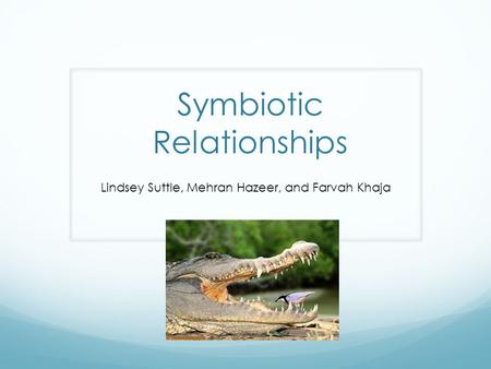 Symbiotic Relationships