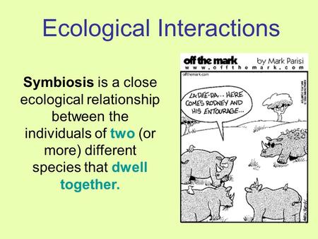 Ecological Interactions