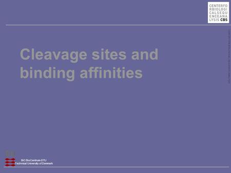 CENTER FOR BIOLOGICAL SEQUENCE ANALYSIS BiC BioCentrum-DTU Technical University of Denmark Cleavage sites and binding affinities.