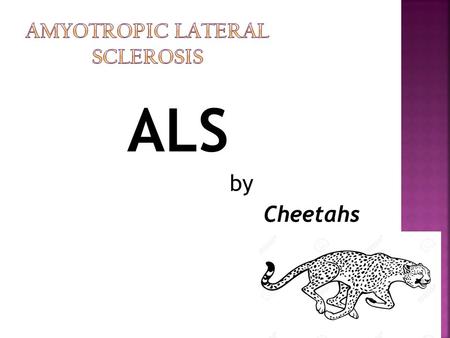 ALS by Cheetahs.  Güldeniz Karakuş  Abide Yıldız  Zeynep Özal  Esra Akman.