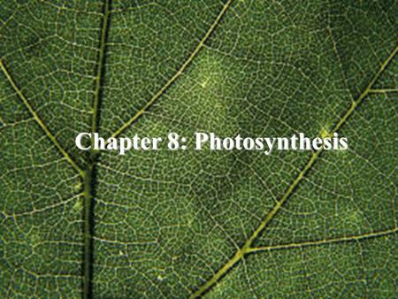 Chapter 8: Photosynthesis. ATP: The Energy unit of the Cell ATP (adenosine triphosphate, 三磷酸腺苷） O O O O CH 2 H OH H N HH O N C HC N C C N NH 2 Adenine.