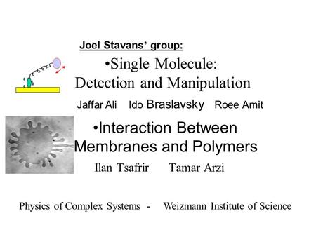 Single Molecule: Detection and Manipulation Ilan Tsafrir Tamar Arzi Physics of Complex Systems - Weizmann Institute of Science Interaction Between Membranes.