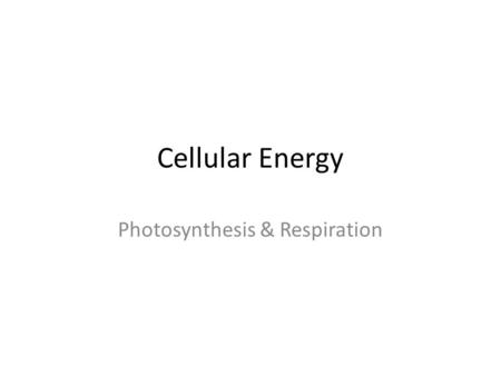 Photosynthesis & Respiration