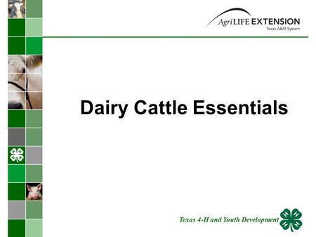 Dairy Cattle Essentials Texas 4-H and Youth Development.