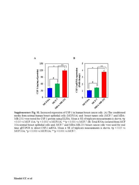 Mandal CC et al Supplementary Fig. S1. Increased expression of CSF-1 in human breast cancer cells. (A) The conditioned media from normal human breast epithelial.