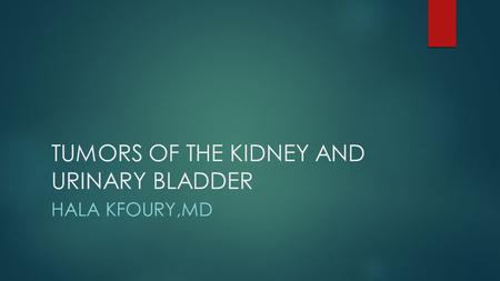 TUMORS OF THE KIDNEY AND URINARY BLADDER HALA KFOURY,MD.