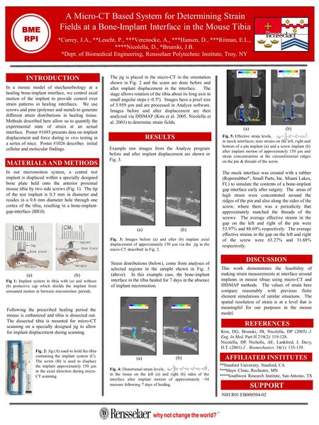 A Micro-CT Based System for Determining Strain Fields at a Bone-Implant Interface in the Mouse Tibia *Currey, J.A., **Leucht, P., ***Vercnocke, A., ***Hansen,