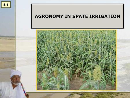 AGRONOMY IN SPATE IRRIGATION 5.1. AGRONOMY IN SPATE IRRIGATION Spate irrigation supports low value agriculture: Uncertainties in timing, number and sizes.