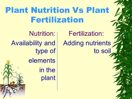 Plant Nutrition Vs Plant Fertilization