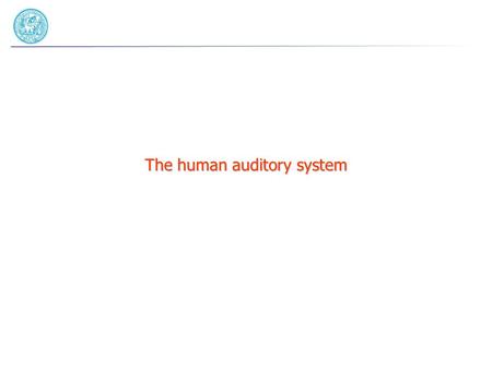 The human auditory system