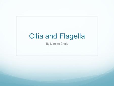 Cilia and Flagella By Morgan Brady.