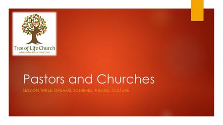 Pastors and Churches SESSION THREE: DREAMS, SCHEMES, THEMES, CULTURE.