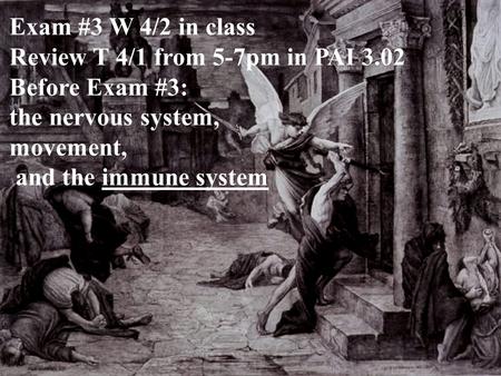 Exam #3 W 4/2 in class Review T 4/1 from 5-7pm in PAI 3.02 Before Exam #3: the nervous system, movement, and the immune system.