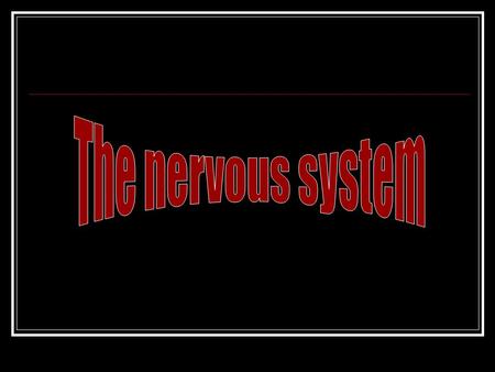 Purpose of nervous system maintaining homeostasis using rapid nerve impulses (action potentials) movement memories behavior.