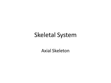 Skeletal System Axial Skeleton.