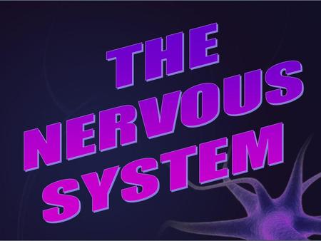 THE NERVOUS SYSTEM.