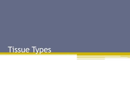 Tissue Types. Human Tissues Tissue differentiation.