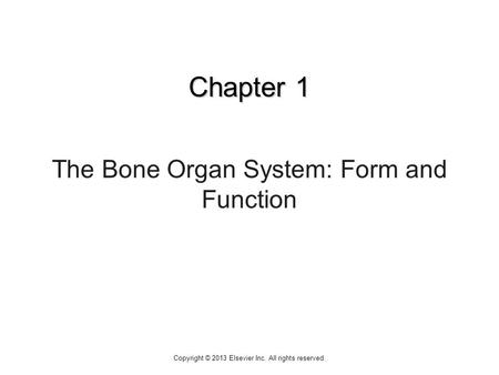 Chapter 1 The Bone Organ System: Form and Function Copyright © 2013 Elsevier Inc. All rights reserved.