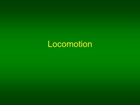 Locomotion. I. Adaptations A.Protists – single celled organisms 1.Pseudopod – cell cytoplasm flows into “fake foot” and organism moves 2.Cilia a.short.