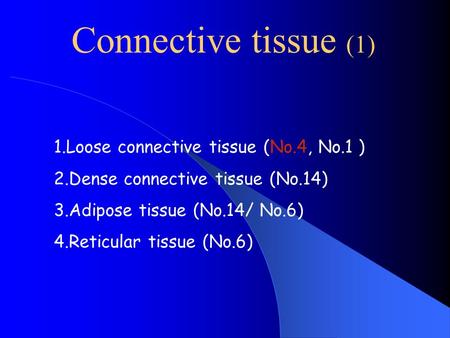 Connective tissue (1) 1.Loose connective tissue (No.4, No.1 )