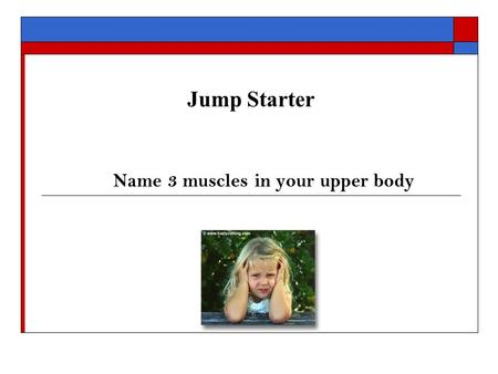 Jump Starter Name 3 muscles in your upper body. Fitness Center Intro Upper Body Machines & Exercises Benefits of Upper Body Weight Training 1. Helps minimize.