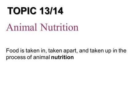 Animal Nutrition TOPIC 13/14