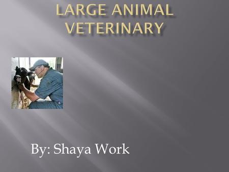 By: Shaya Work.  I enjoy being around animals  I like to help animals.