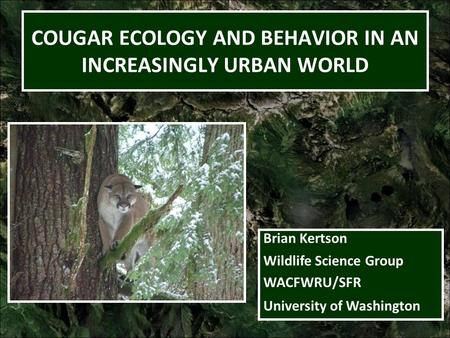 COUGAR ECOLOGY AND BEHAVIOR IN AN INCREASINGLY URBAN WORLD Brian Kertson Wildlife Science Group WACFWRU/SFR University of Washington.