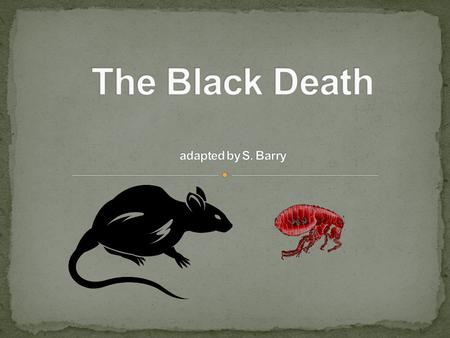 There are 3 questions that will be asked during the course of the lesson; 1.What is the “Black Death”? 2.What caused the Black Death? 3.What were the.