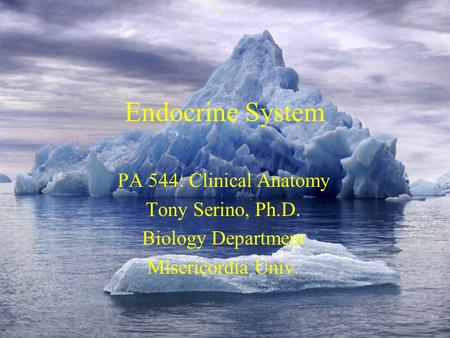 Endocrine System PA 544: Clinical Anatomy Tony Serino, Ph.D. Biology Department Misericordia Univ.