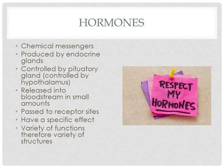 HORMONES Chemical messengers Produced by endocrine glands Controlled by pituatory gland (controlled by hypothalamus) Released into bloodstream in small.