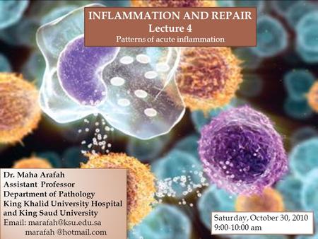 Upon completion of this lecture, the student should:  Compare and contrast acute vs. chronic inflammation with respect to causes, nature of the inflammatory.