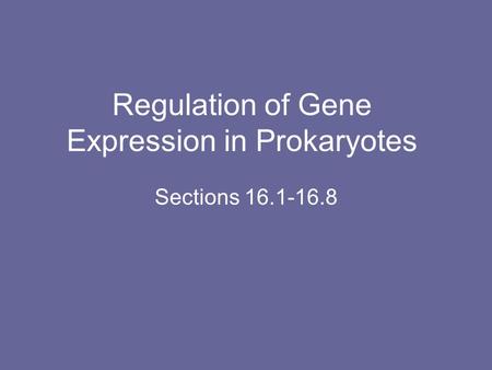 Regulation of Gene Expression in Prokaryotes