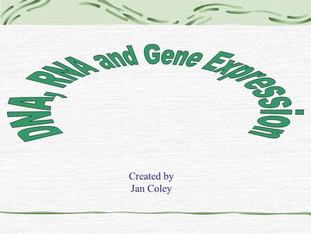 Created by Jan Coley $100 DNA Transcription Lac Operon Cancer $200 $300 $400 $500 $100 $200 $300 $400 $500 $100 $200 $300 $400 $500 $100 $200 $300 $400.