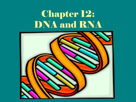 Chapter 12: DNA and RNA. Genes are made of DNA, a large, complex molecule. DNA is composed of individual units called nucleotides. Three of these units.