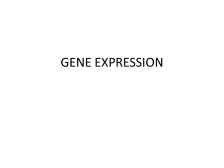 GENE EXPRESSION.