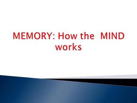 MEMORY: How the MIND works