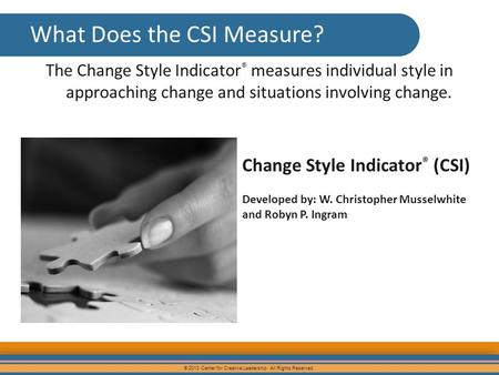 What Does the CSI Measure?