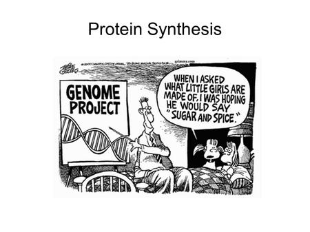 Protein Synthesis. Learning Objectives By the end of this class you should understand: The purpose and mechanism of codons The two steps of protein synthesis.