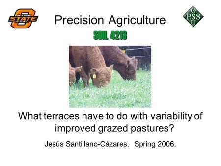 Precision Agriculture What terraces have to do with variability of improved grazed pastures? Jesús Santillano-Cázares, Spring 2006.