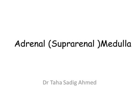 Adrenal (Suprarenal )Medulla Dr Taha Sadig Ahmed.