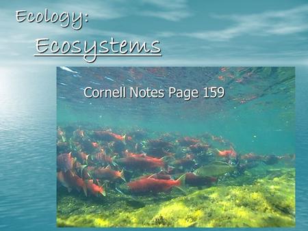 Ecology: Ecosystems Cornell Notes Page 159. What is Ecology? What is Ecology? The study of how living things interact with each other and their environment.