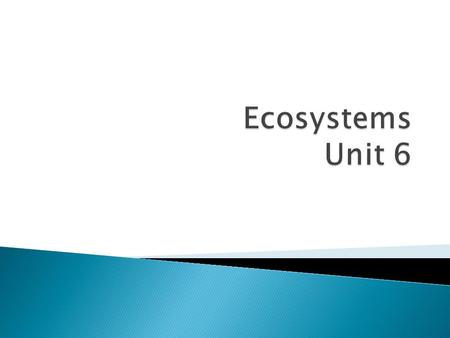 1. Biotic factors 2. Abiotic factors 3. Biome 4. Ecosystem 5. Carrying capacity 6. Limiting Factor 7. Biodiversity 8. Estuary 9. Desert 10. Grasslands.