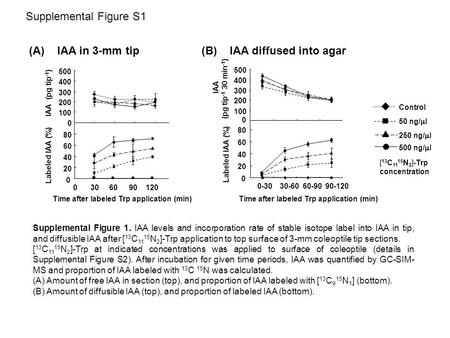 Control 50 ng/  l 250 ng/  l 500 ng/  l (A) IAA in 3-mm tip(B) IAA diffused into agar Time after labeled Trp application (min) Labeled IAA (%) IAA (pg.