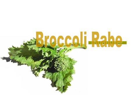  Broccoli rabe, also called rapini, is a common leafy green vegetable in the cuisine of Southern Italy and China  This plant is actually not related.