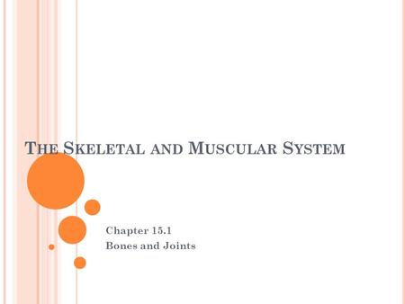 T HE S KELETAL AND M USCULAR S YSTEM Chapter 15.1 Bones and Joints.