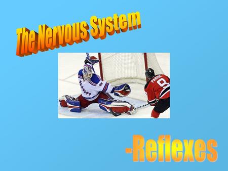 What is a reflex? Automatic and rapid responses to particular stimulation -pain or the threat of pain 2 types of reflexes: 1. Autonomic 2. Somatic -stimulation.