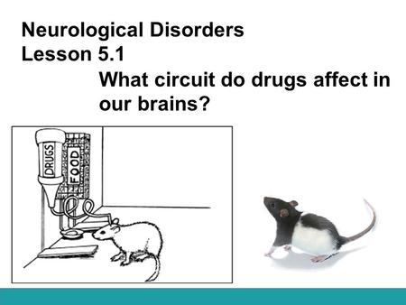 Neurological Disorders Lesson 5.1 What circuit do drugs affect in our brains?