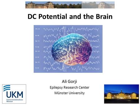 DC Potential and the Brain Ali Gorji Epilepsy Research Center Münster University.