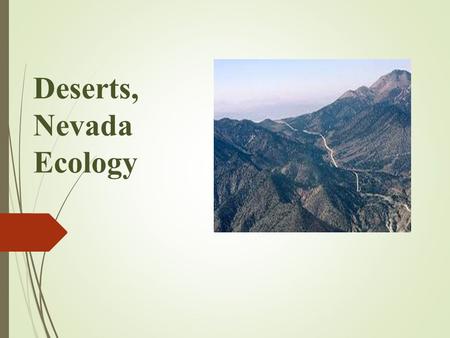 Deserts, Nevada Ecology. Desert Biome  Less than 25 cm rain/year  May be hot or cold  Animals: scorpions, lizards, snakes, birds  Plants: cacti, sagebrush,